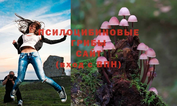 прущий лед Горнозаводск