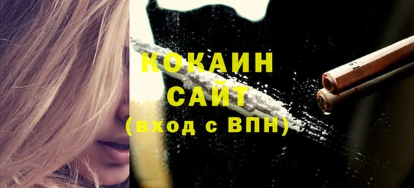стаф Вязники