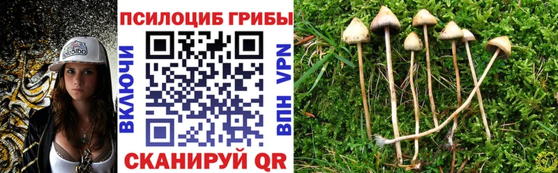 Псилоцибиновые грибы Cubensis  Иваново 
